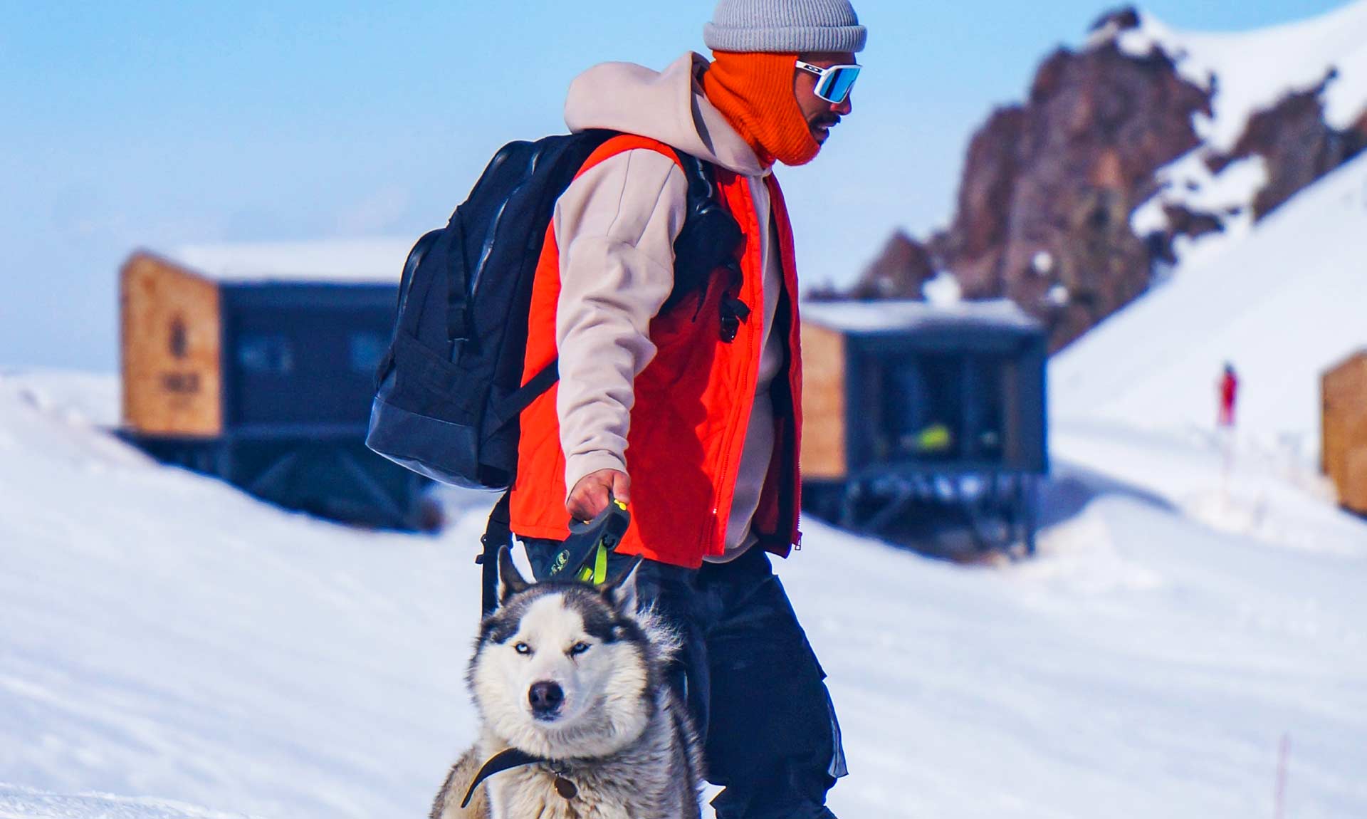 10 Things to know about your Alaskan Malamute